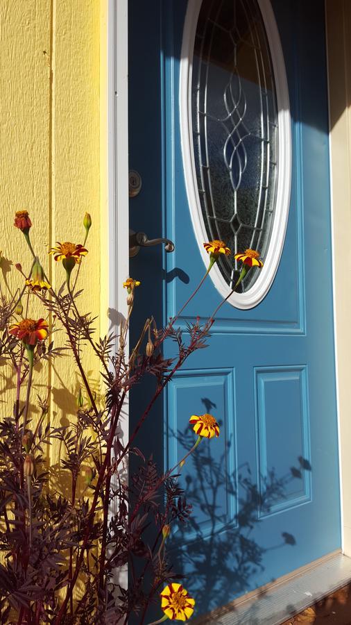 Sunshine Cottage Talkeetna Exterior photo